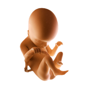 Week 18