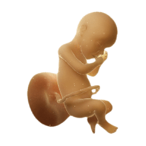 Week 30