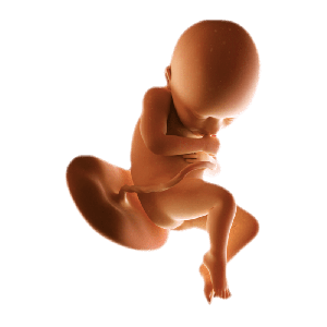 Week 36