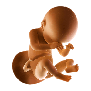 Week 38
