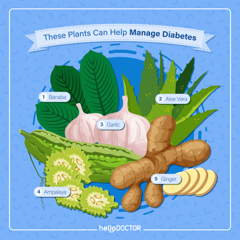 Ampalaya Leaves What Are Its Uses and Benefits?