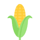 Week 24