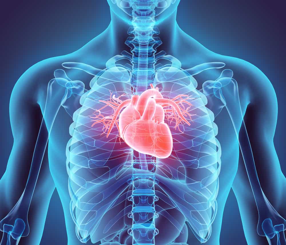 Heart Disease and How it Affects The Rest of The Body