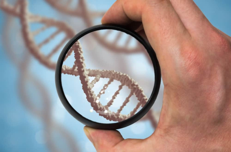 Is Type 2 Diabetes Genetic?
