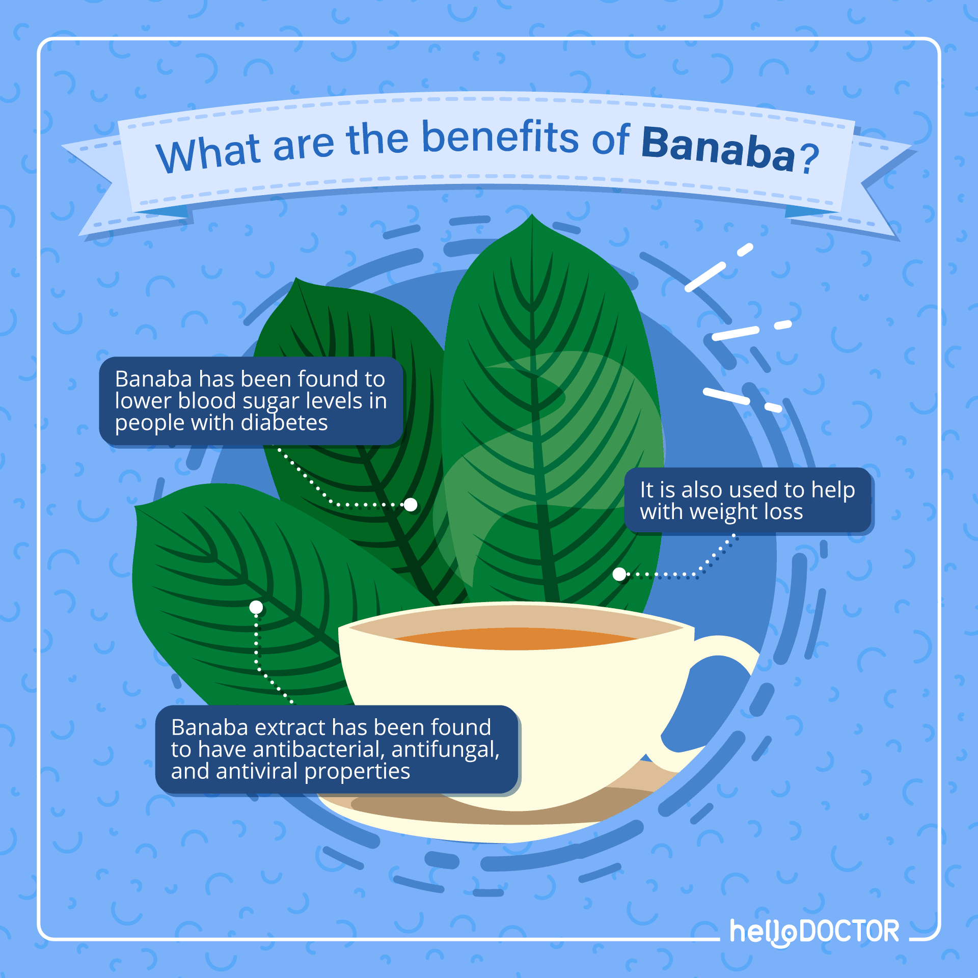 The Uses and Benefits of Banaba As An Herbal Medicine
