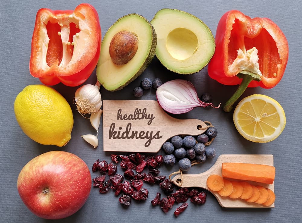 The Renal Diet for Those with Kidney Issues