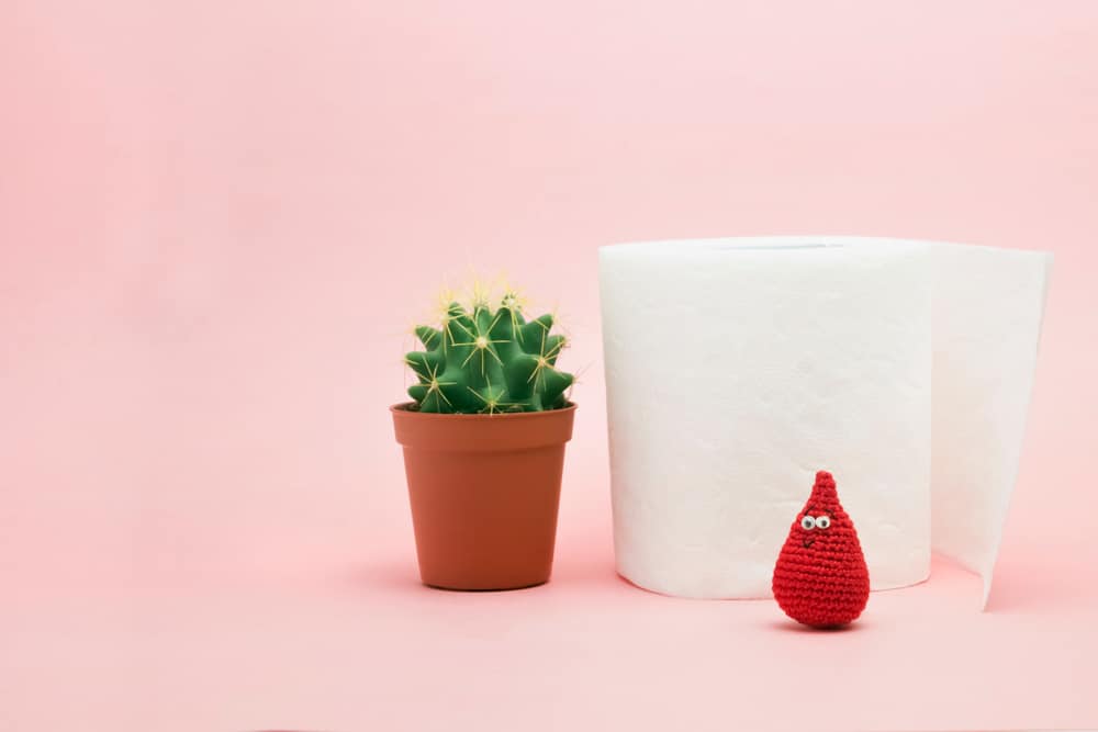 Blood on Stool: What Are the Possible Causes for This Condition?