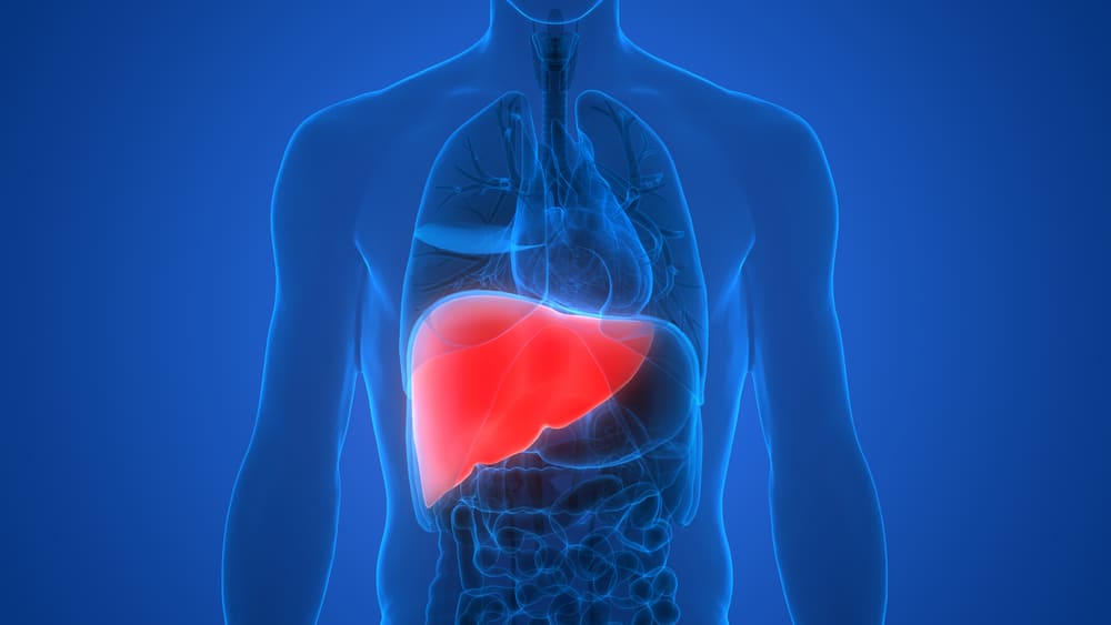 What Causes Liver Cancer?