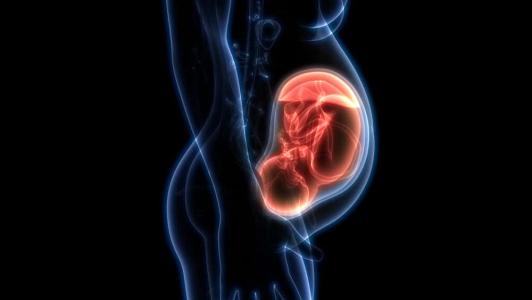 Cord Coil Complications