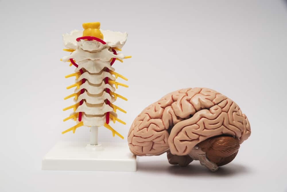 Brain and Spine Disorders: Everything You Need To Know