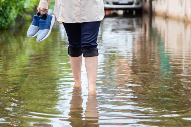 Leptospirosis Symptoms and Treatment