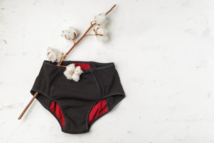 Do Period Panties Cause Yeast Infection? Find out Here