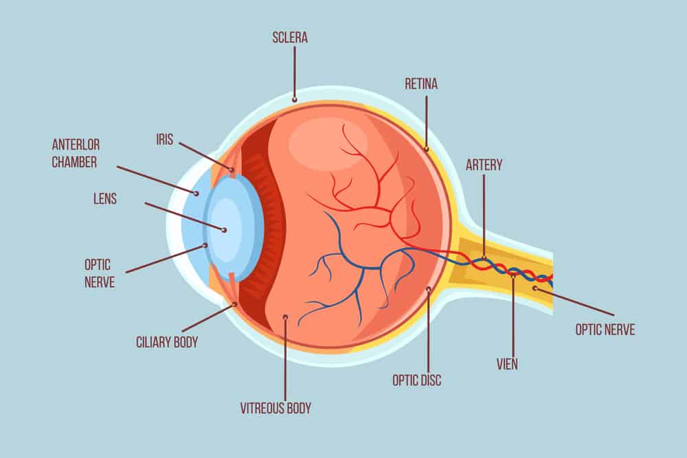 maculopathy signs and symptoms