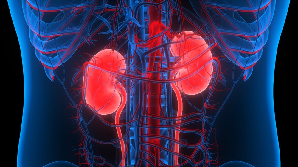 Nephritis: Causes, Symptoms, Treatment