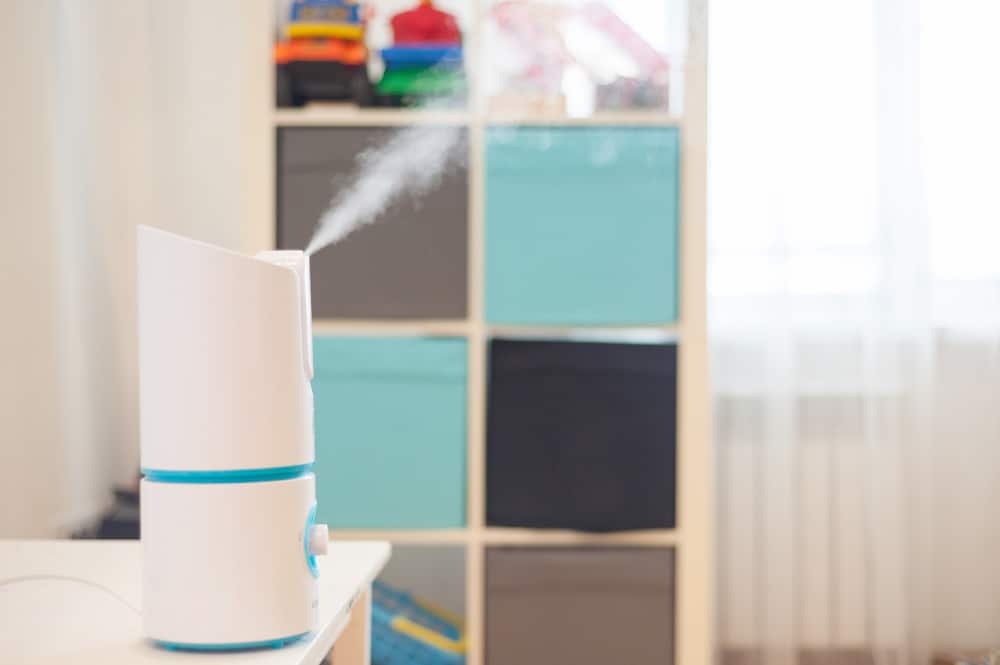 What is Better for Allergies, a Humidifier, or Air Purifier?
