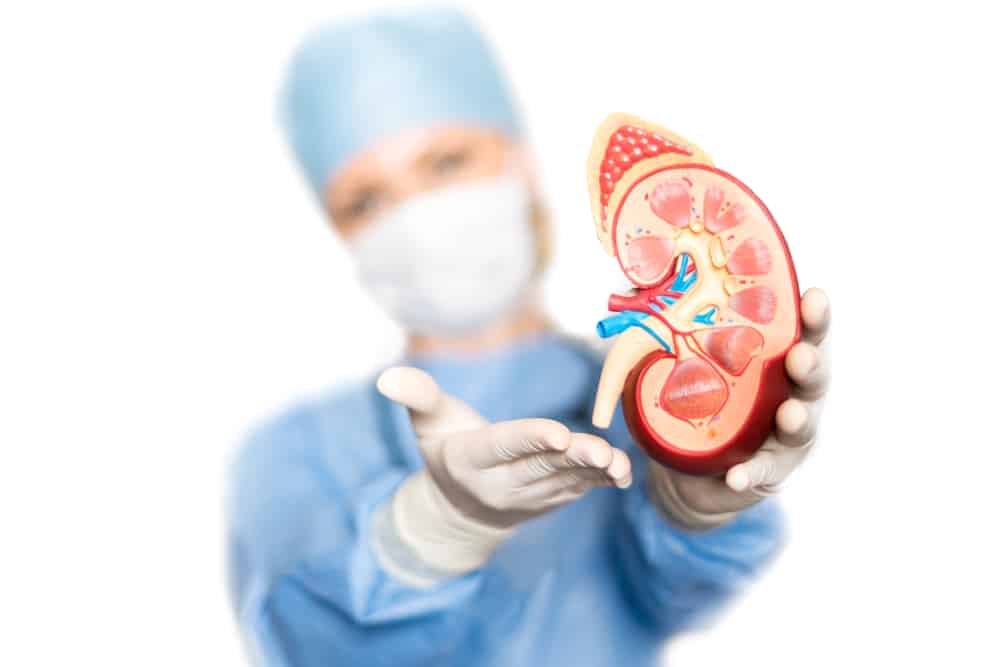 Kidney Transplant: What To Expect and How To Prepare
