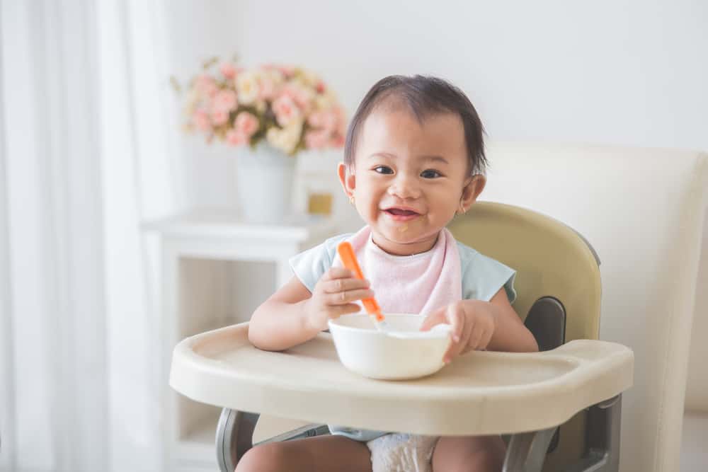 Baby Food Recipes: Easy, Healthy Ideas for Parents
