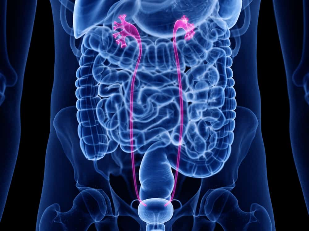 Urethritis: Causes, Symptoms, Treatment