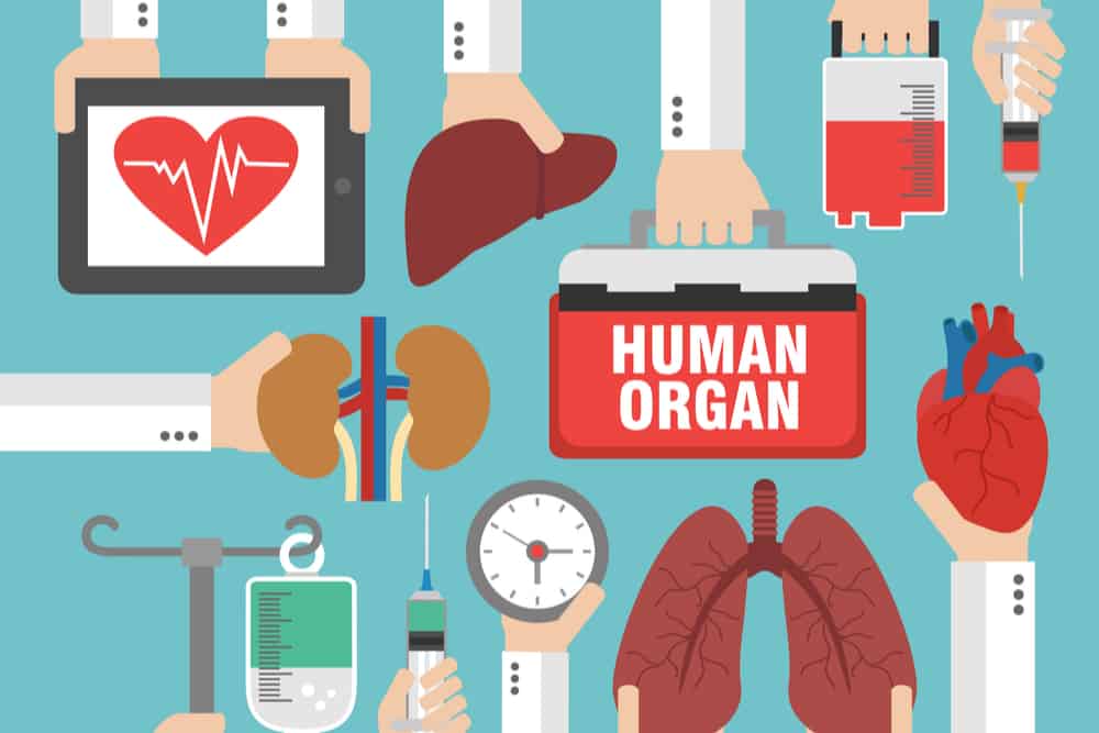 Types of Organ Donation: Sharing Your Organs to Save Others
