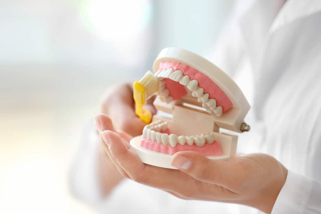 Dental Prosthesis: Why Do You Need It and How Is the Procedure Done?