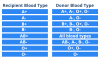 Blood Compatibility Chart: Why Is Blood Compatibility Important?