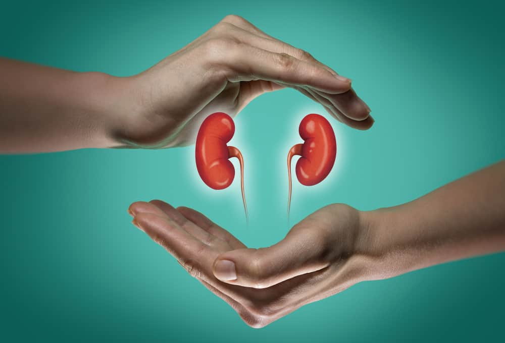 Atrophic Kidney: What are the Effects of Small Kidneys?