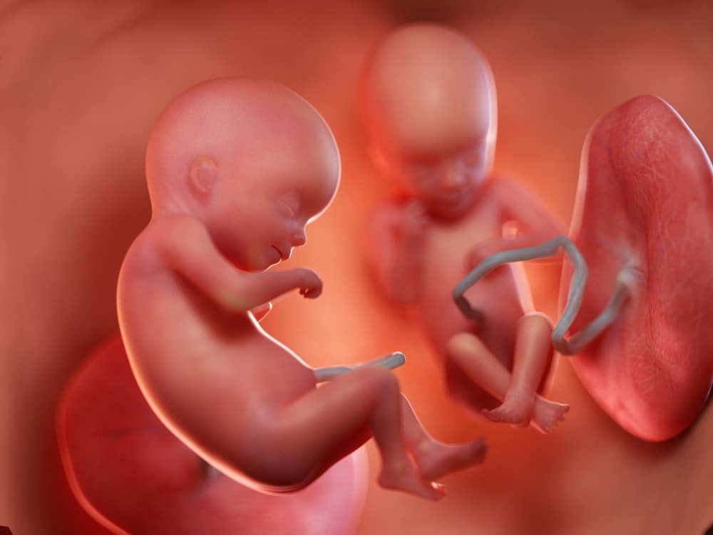 The Science Behind Conceiving Twins