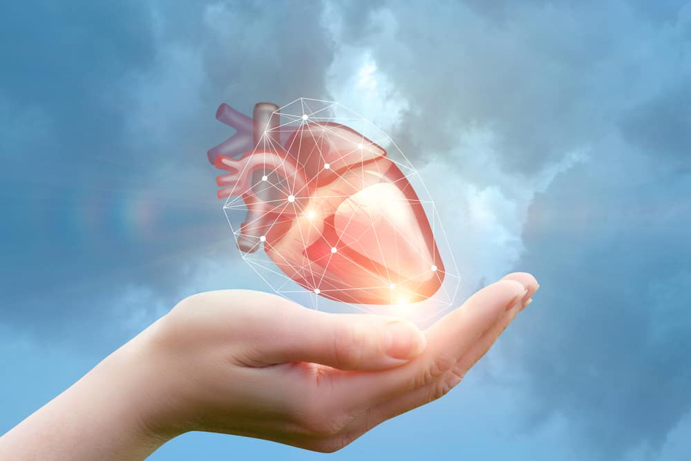 10 Surprising Facts About the Human Heart