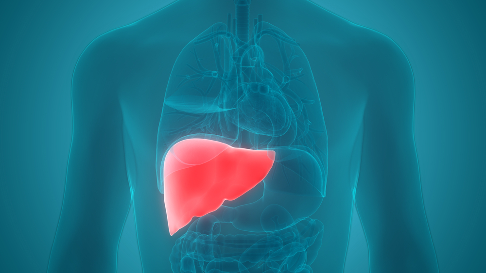 A Guide to the Different Types of Liver Cancer