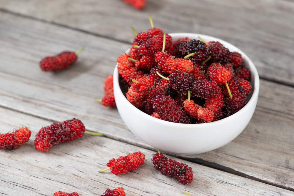 Mulberry Tea Side Effects: Can It Help With Diabetes?