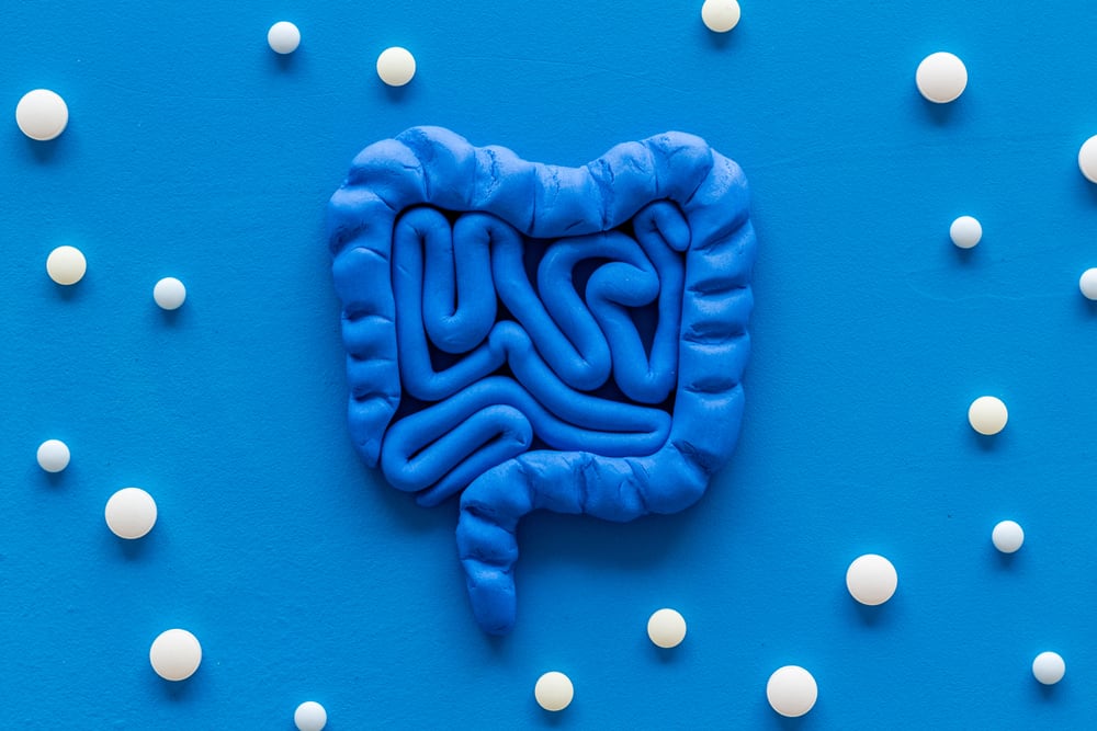 Your Gut is Your "Second Brain": The Brain Gut Connection