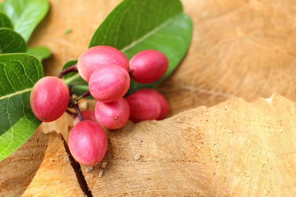 Miracle Fruit Benefits: Can It Help Cancer Patients and Diabetics?