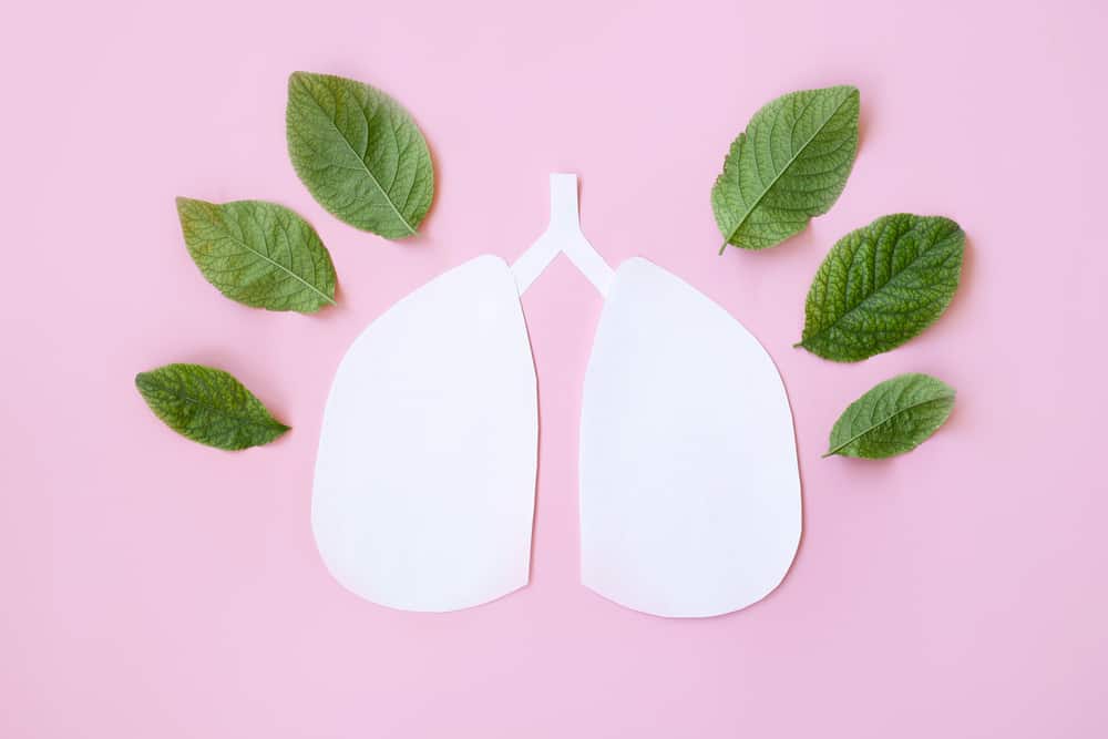 Herbs To Cleanse The Lungs