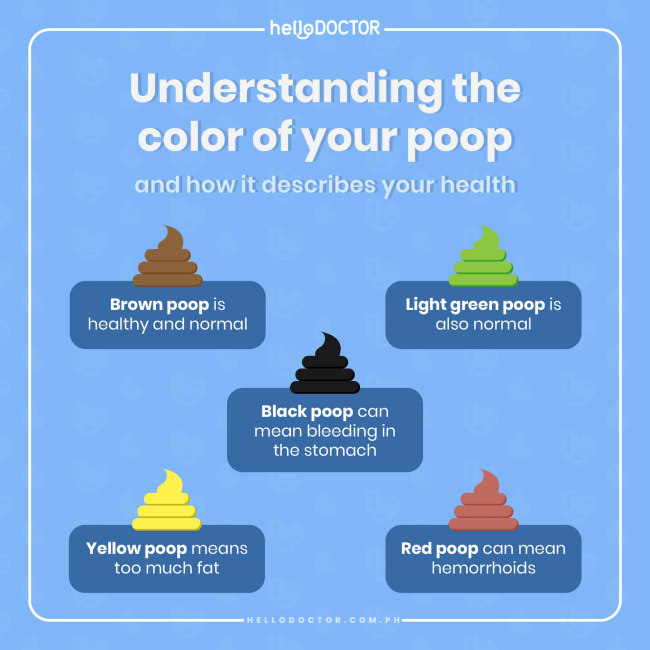 Types of Poop Health Indications Based on Shape and Color