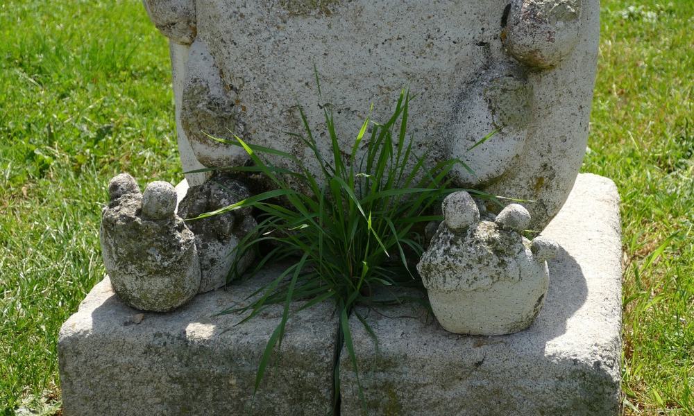 Facts About Pubic Hair That Everyone Needs to Know