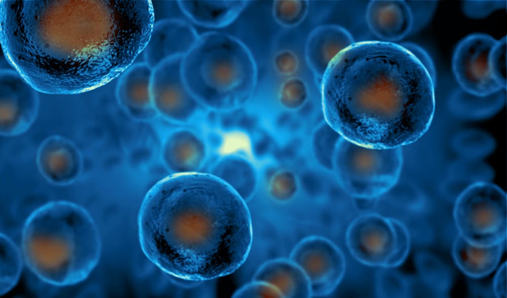 What Are Stem Cells, and Why Are They So Important in Medicine?
