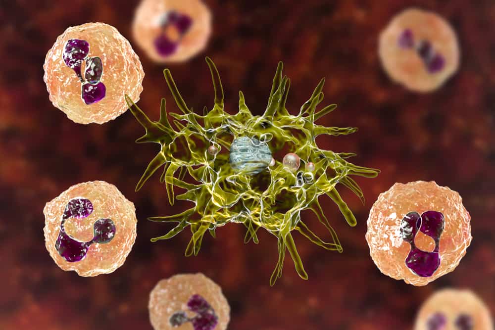 Are Swimming Pools Safe from Amoebic Meningitis Infection? : All You Need To Know