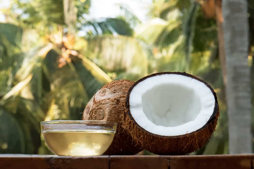 Tree of Life: The Many Health Benefits of Coconut