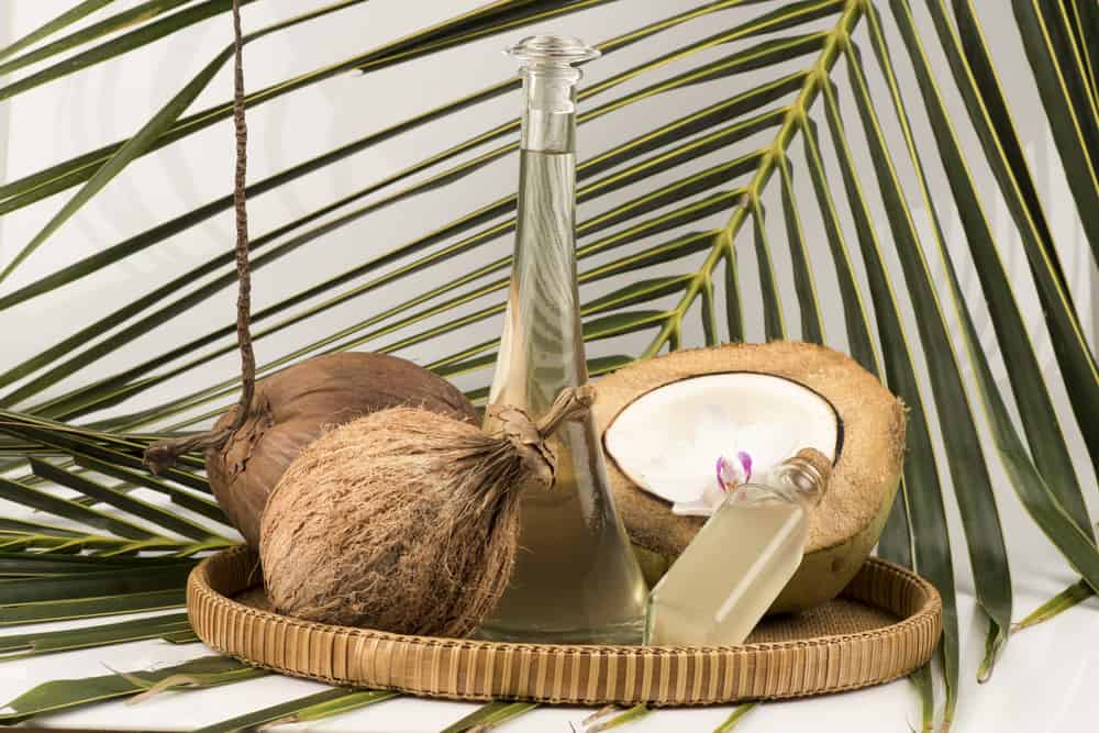 Virgin Coconut Oil: What Are Its Health Benefits?