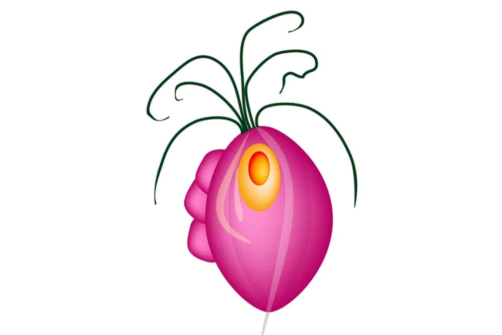 Hindi Gumagaling Ang Trichomoniasis? 3 Dapat Tandaan
