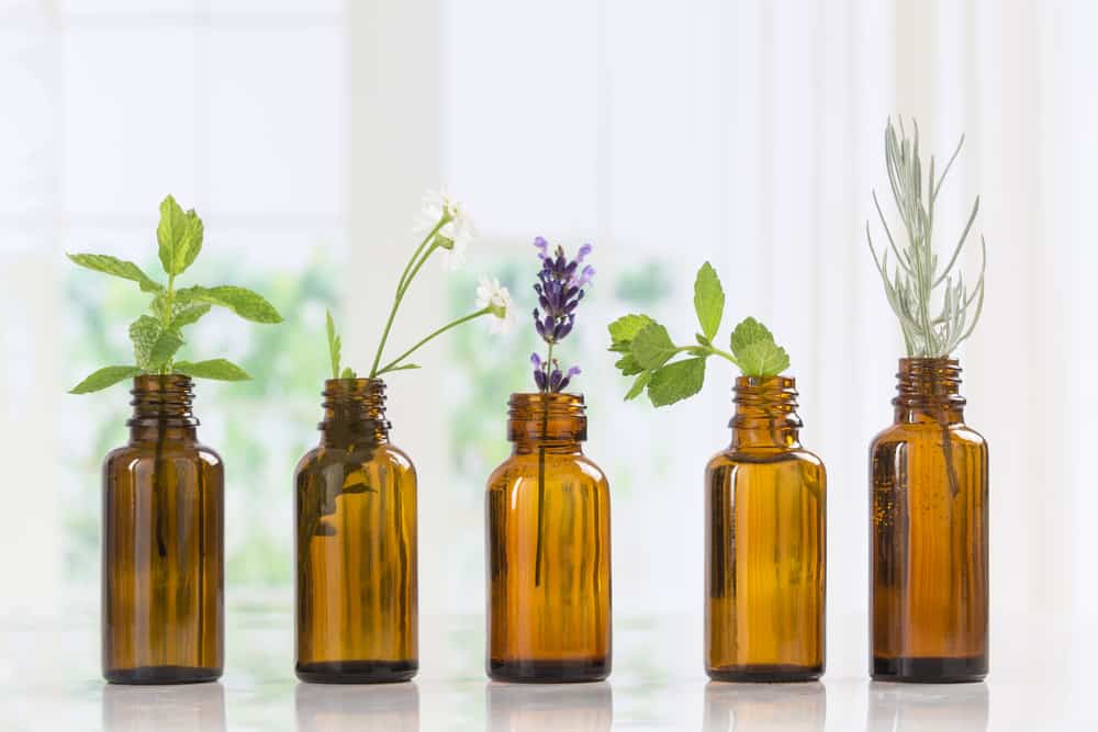 Essential Oils for Migraines: Which Ones Are the Most Effective?