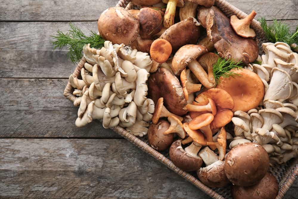 5 Surprising Benefits of Mushroom