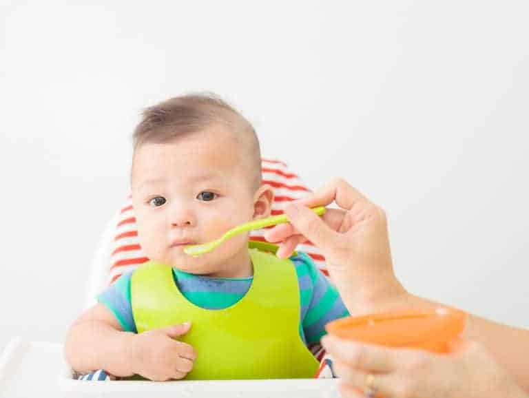 Baby Food Brands In The Market: Options For Parents