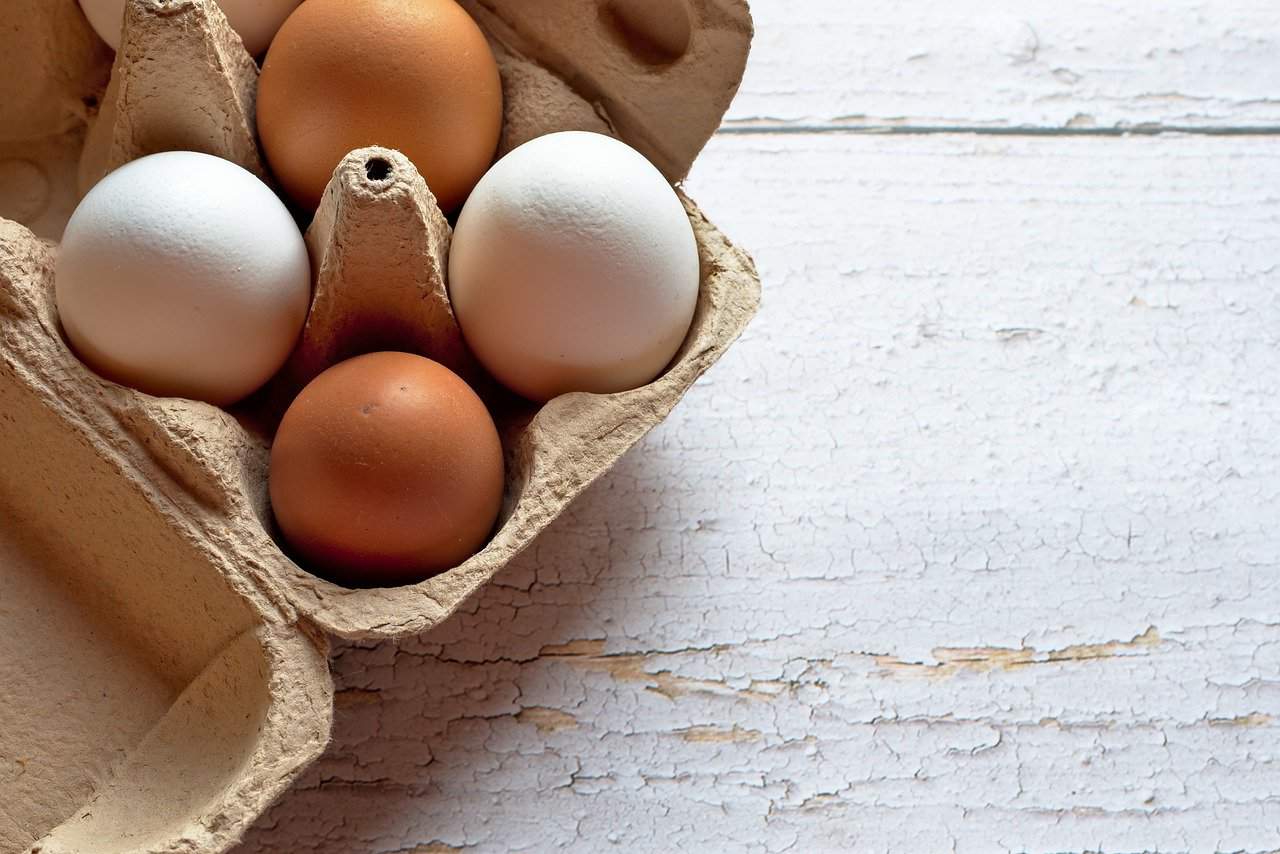 Do Brown Eggs Have More Benefits Than White Eggs?
