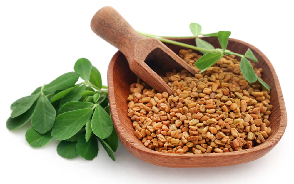 The Potential Benefits of Taking a Fenugreek Supplement