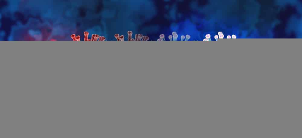 Omicron Reinfection Rate Higher Than Delta Variant, Study Finds