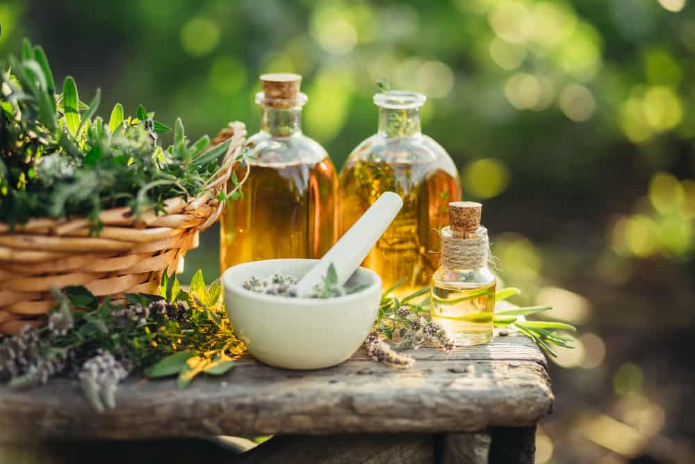 Herbal Medicine List: What Top Herbs Help Improve Your Health?