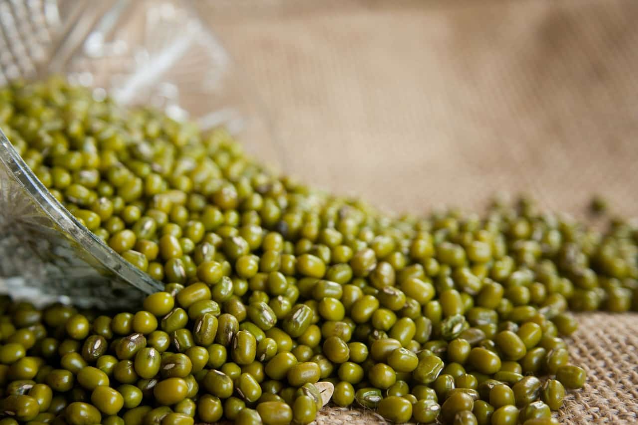 Are Mung Beans Good for You?