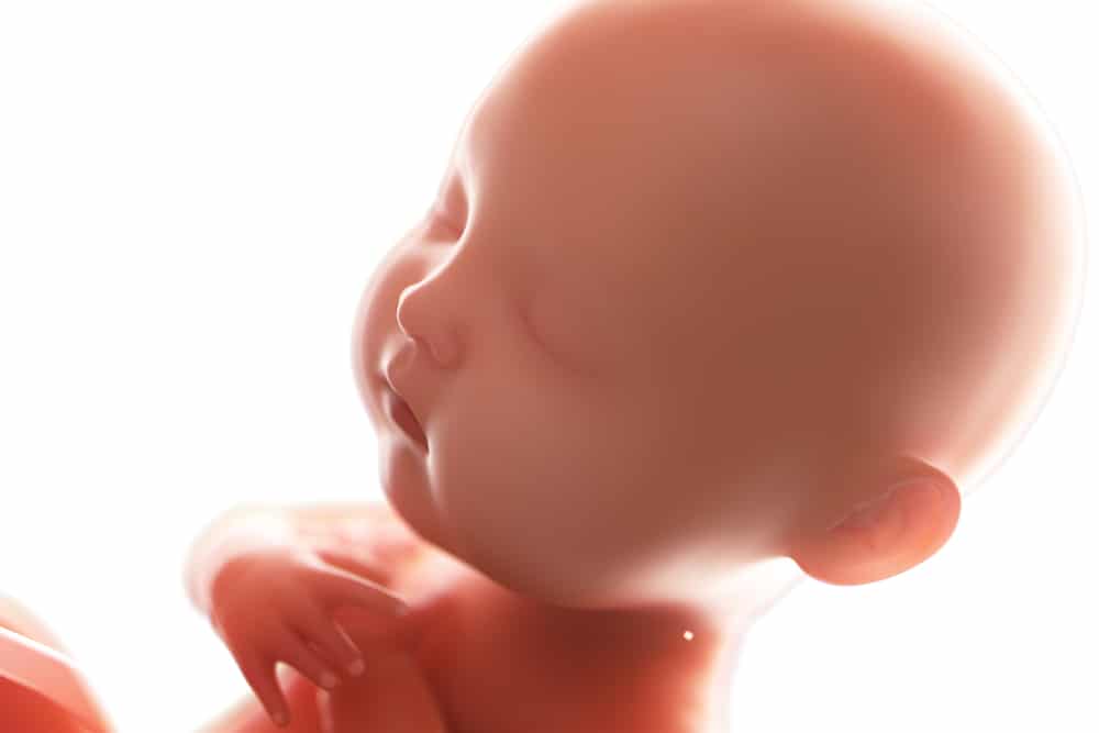 Maternal Exposure To Certain Light Affects Fetal Brain Development