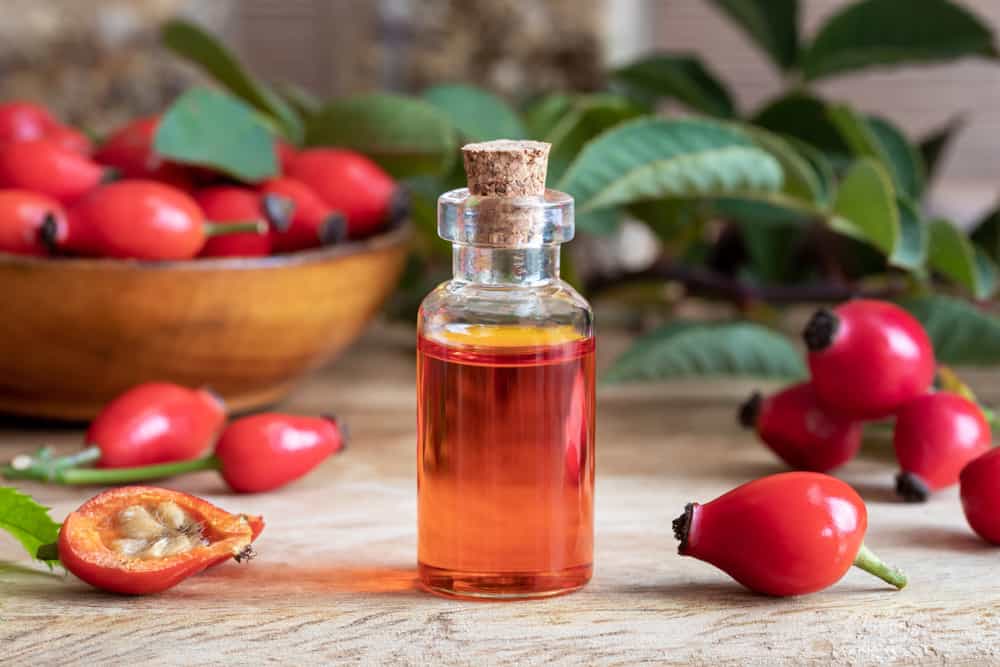 4 Top Rosehip Oil Benefits for Better Skin